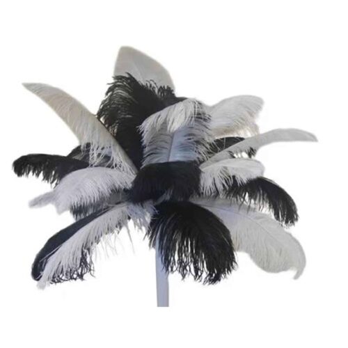 FEATHER BUNDLE – BLACK & WHITE