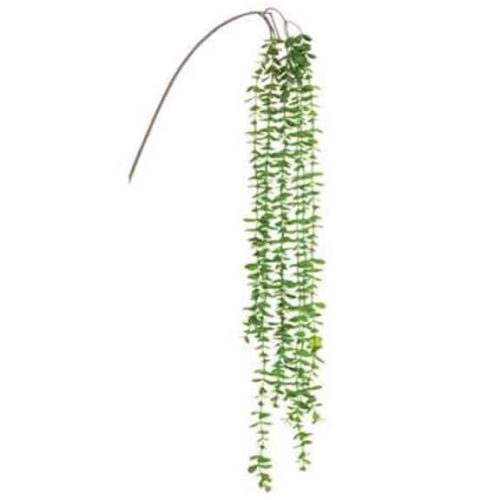 GREEN ROUND LEAF HANGING SPRAY