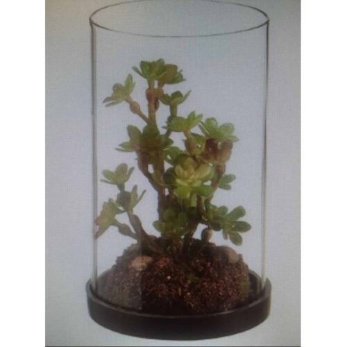 6″ SEDEM IN GLASS HURRICANE