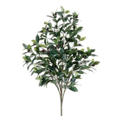 3.5′ OLIVE TREE COLOR GR TT