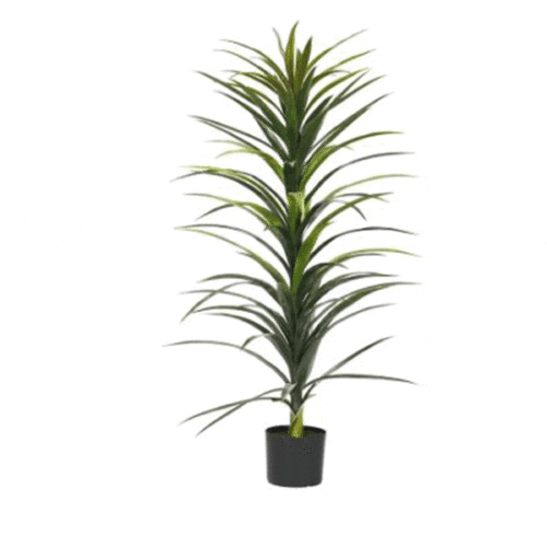 48″ YUCCA TREE WITH BLACK PLANTER