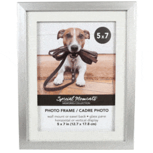 MATTED SILVER PICTURE FRAME, 5×7