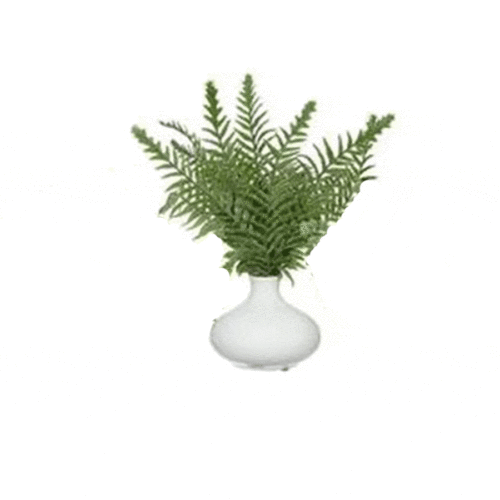 11.5″ VEGETABLE FERN IN CERAMIC VASE