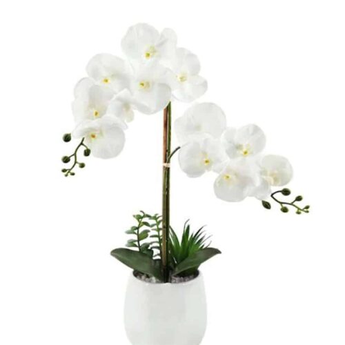 23″ WHITE ORCHID FLOWER IN CERAMIC PLANTER