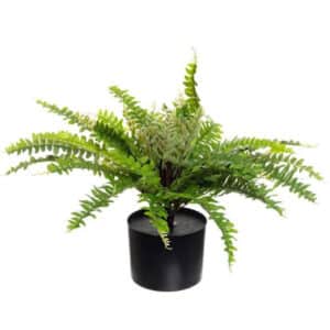 24″ POTTED GREEN FERN PLANT