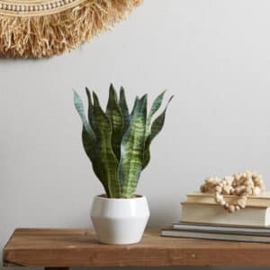 THE NOVOGRATZ GREEN FAUX FOLIAGE SNAKE ARTIFICIAL PLANT WITH REALISTIC LEAVES AND WHITE PORCELAIN POT