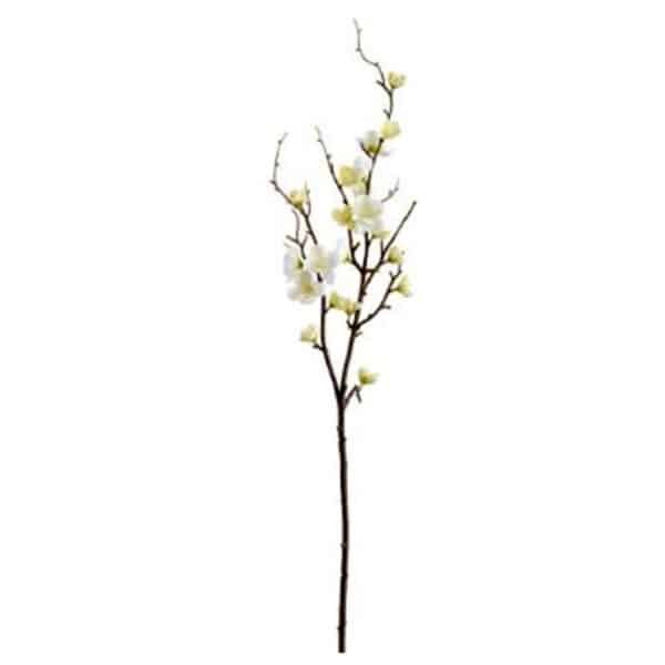 32" QUINCE BLOSSOM, WHITE