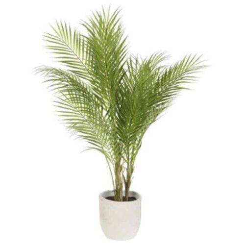 42″ ARECA PALM TREE