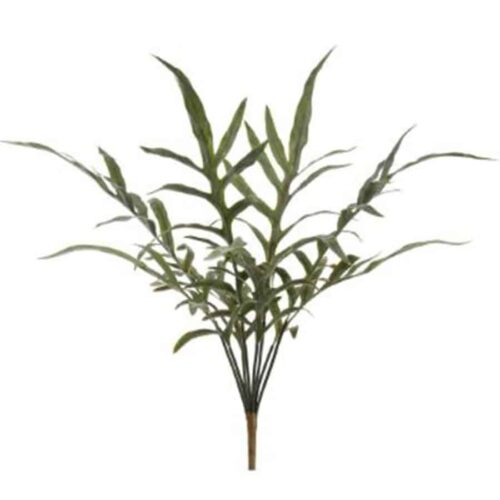 24″ JAVA FERN BUSH, GREEN