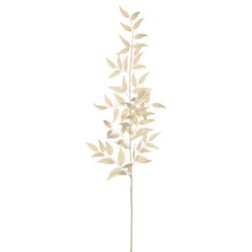 36″  ITALIAN RUSCUS LEAF SPRAY, CREAM