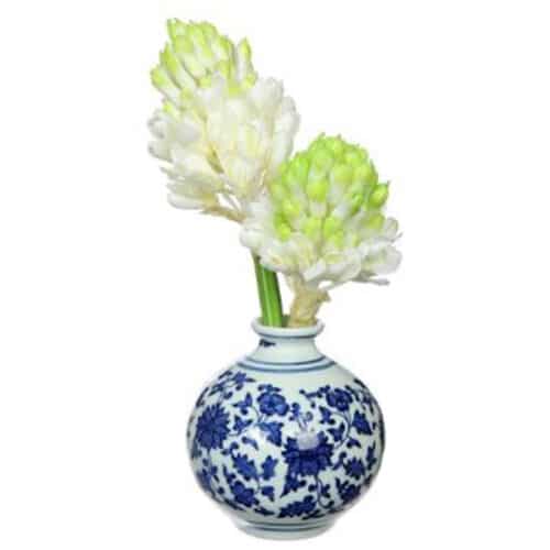 8″ WHITE  HYACINTH IN CERAMIC VASE