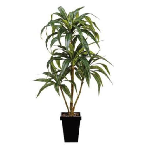 4′ DRACENA PLANT IN METAL POT