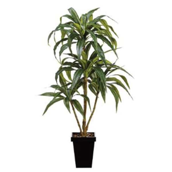 4' DRACENA PLANT IN METAL POT