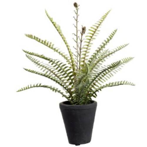 14″ SOFT WOODLAND FERN PLANT IN CEMENT POT