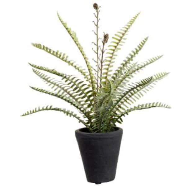 14" SOFT WOODLAND FERN PLANT IN CEMENT POT