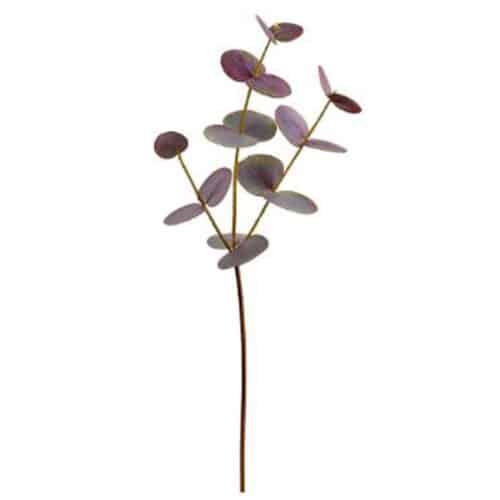 18″ EUCALUPTUS SPRAY, BURGUNDY