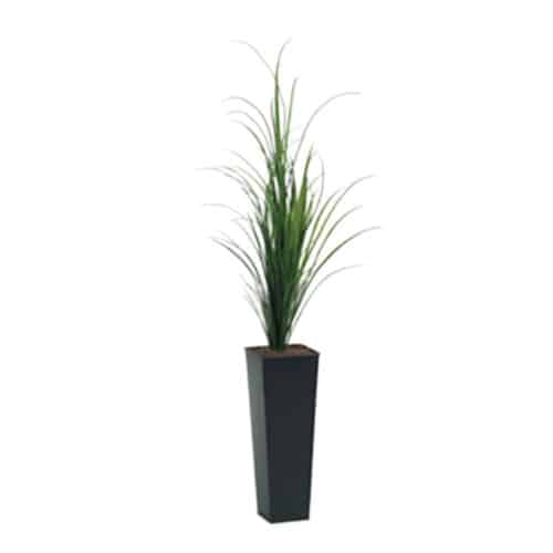6′ GRASS IN METAL
