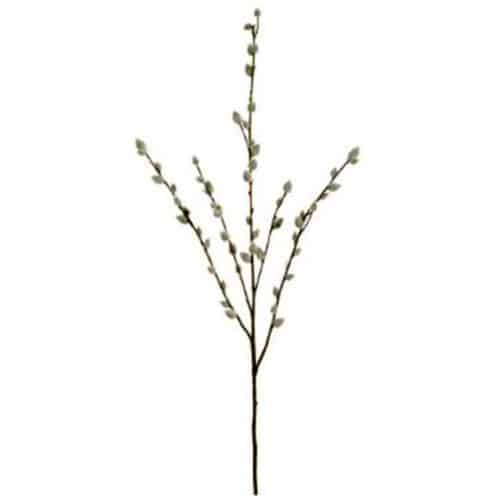 31″ GRAY PUSSY WILLOW SPRAY