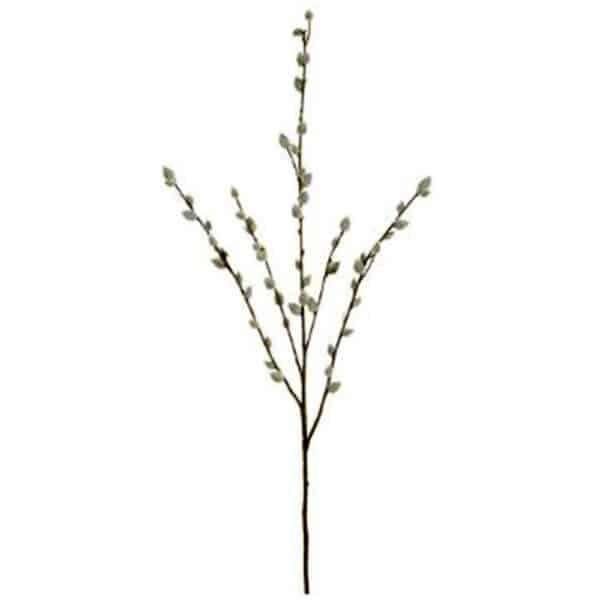 31" GRAY PUSSY WILLOW SPRAY