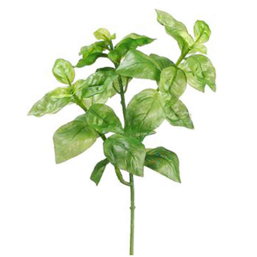 9" BASIL BUSH GREEN