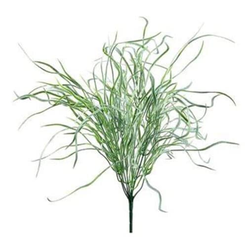 GRASS BUSH GREEN GRAY